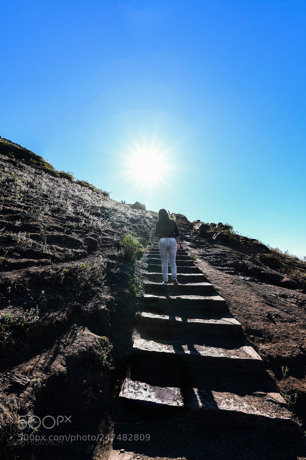 Nikon D850 sample photo. Stairways photography