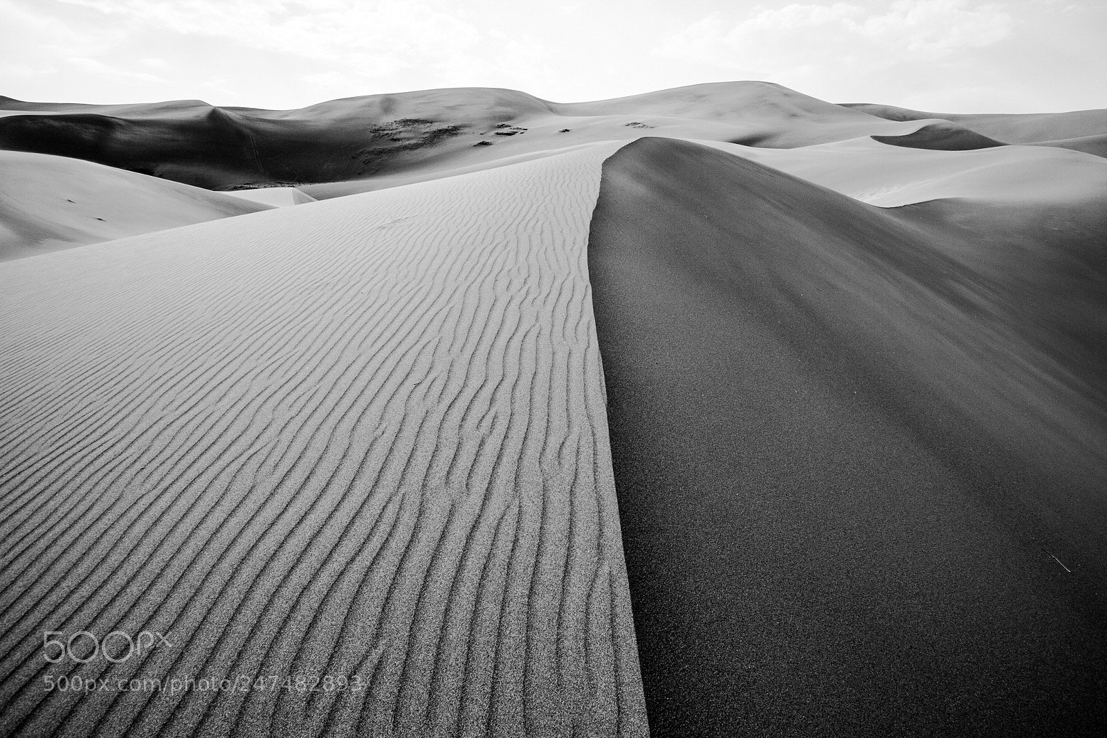 Canon EOS 7D sample photo. B&w dunes photography