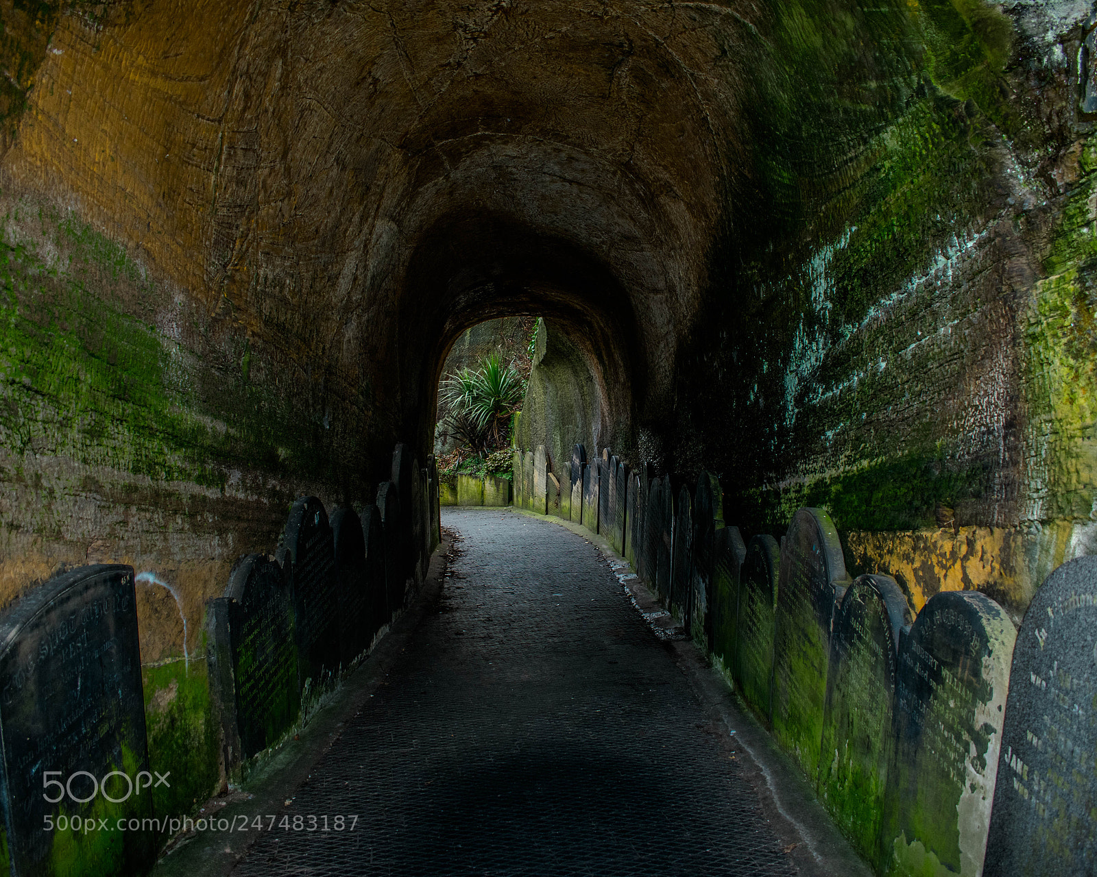 Nikon D3400 sample photo. Grave tunnel photography