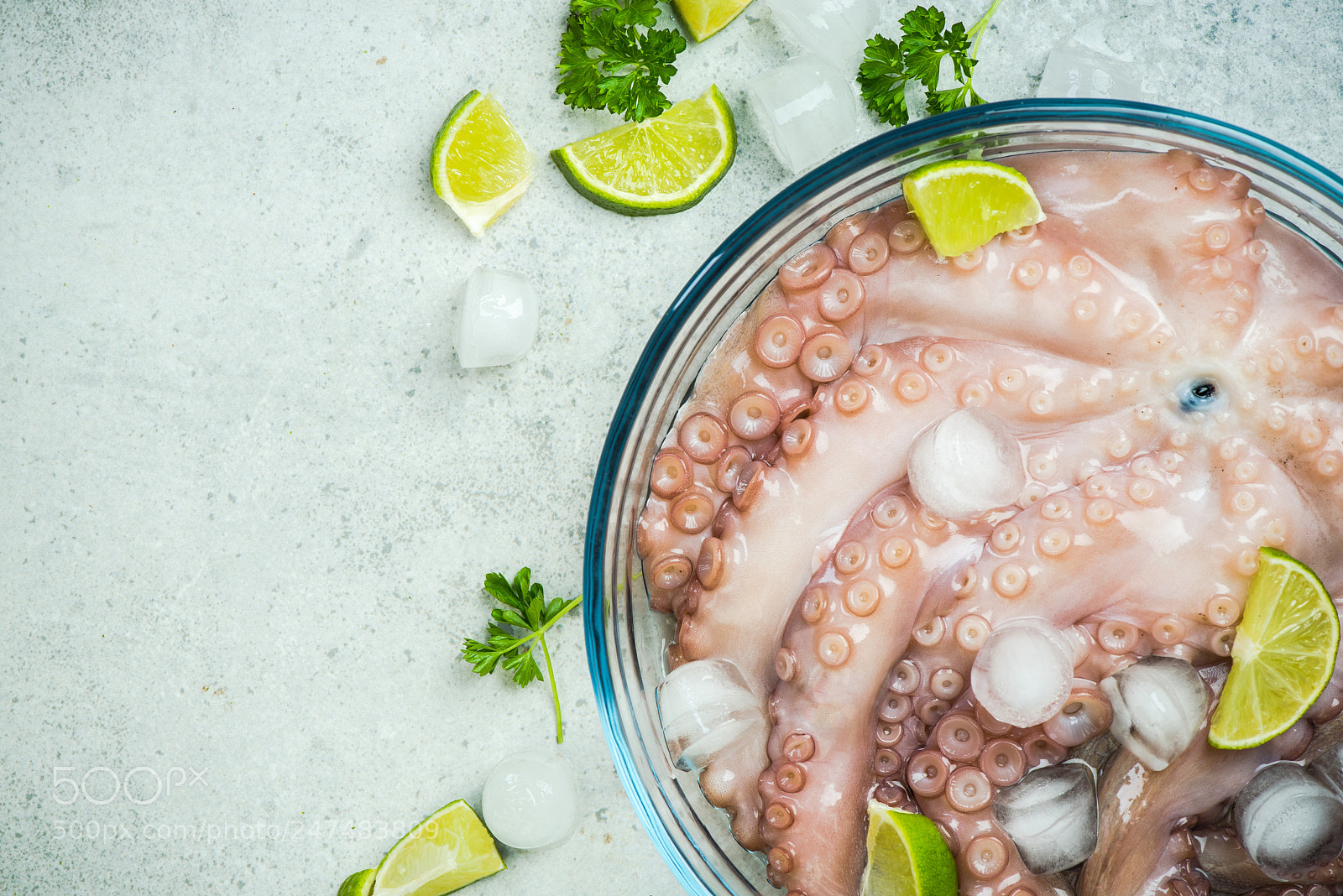 Nikon D810 sample photo. Seafood fresh whole octopus photography