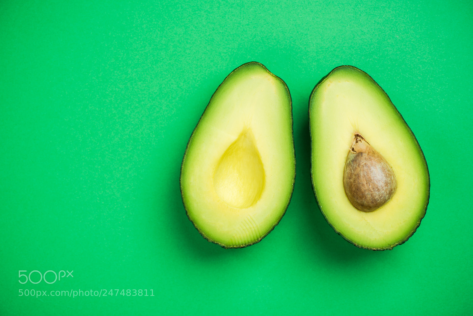 Nikon D810 sample photo. Avocado on pastel background,creative photography