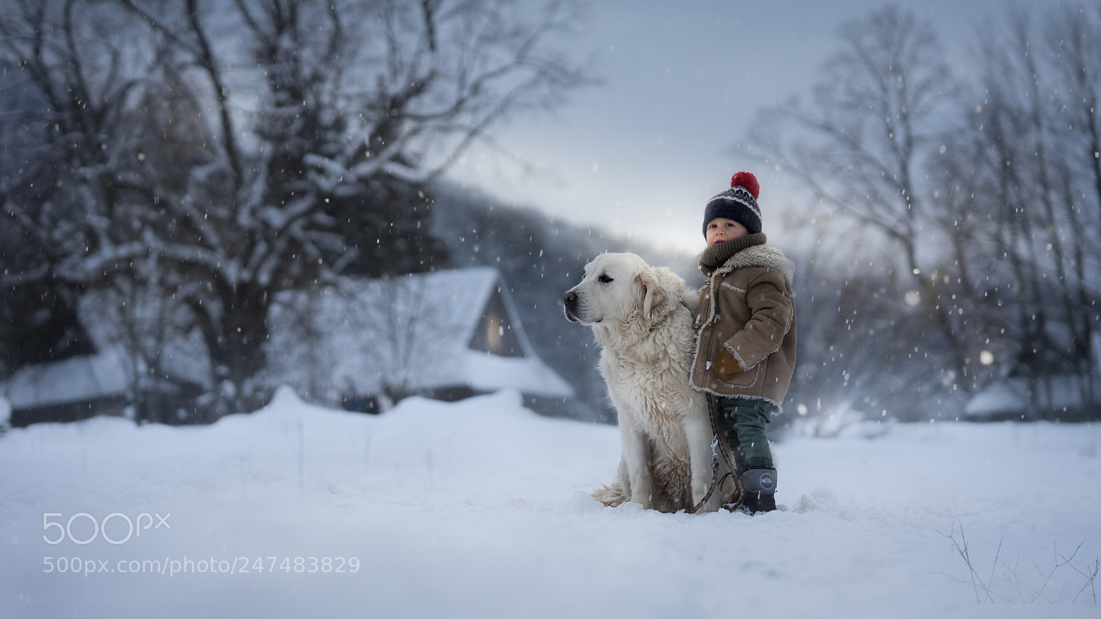Sony a7 II sample photo. Niko and the dog photography