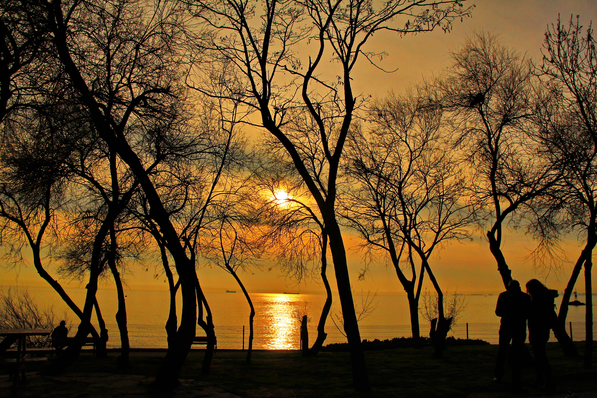 Canon EOS 60D sample photo