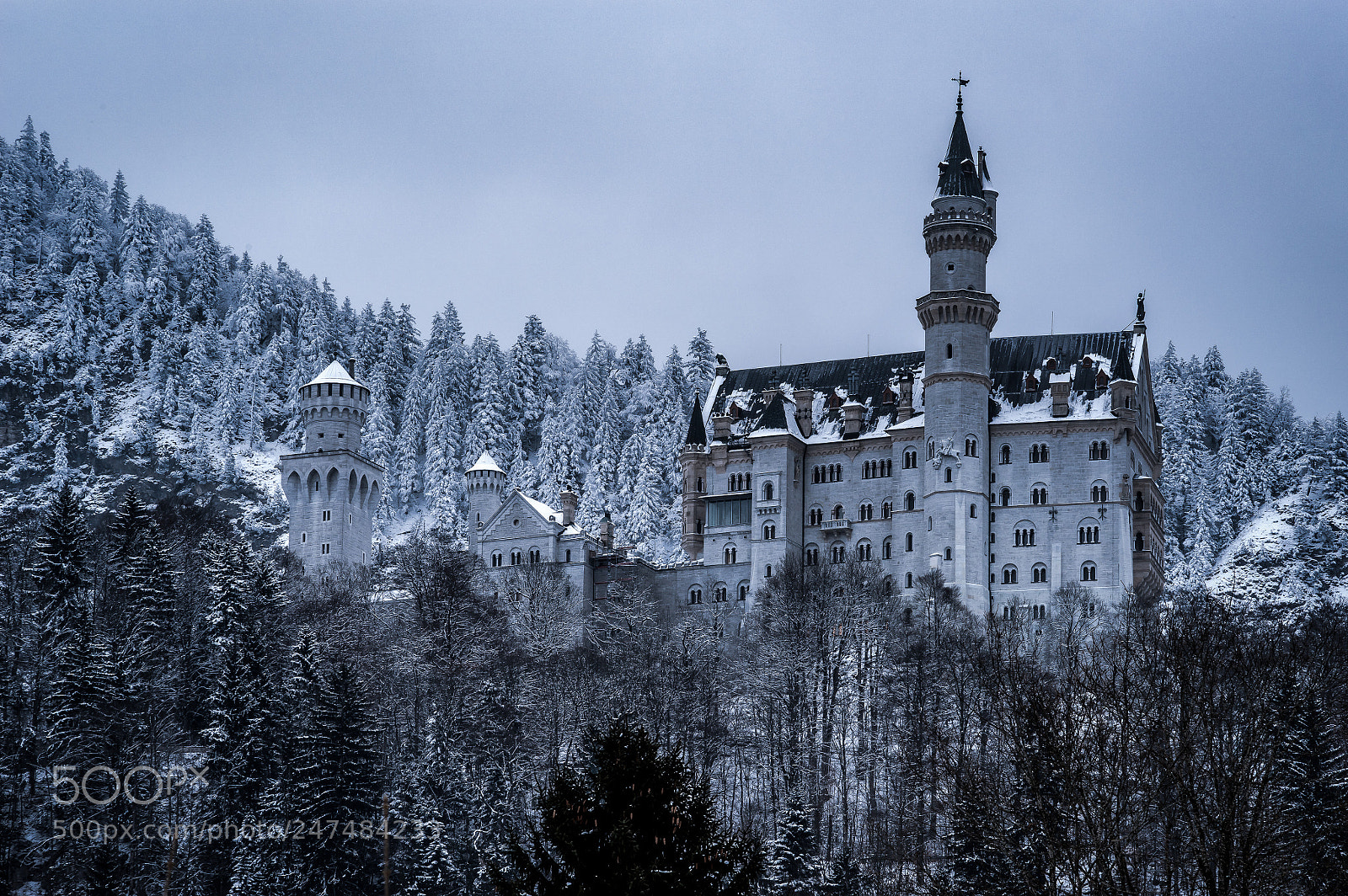 Sony a7 II sample photo. Neuschwanstein castle in winter photography