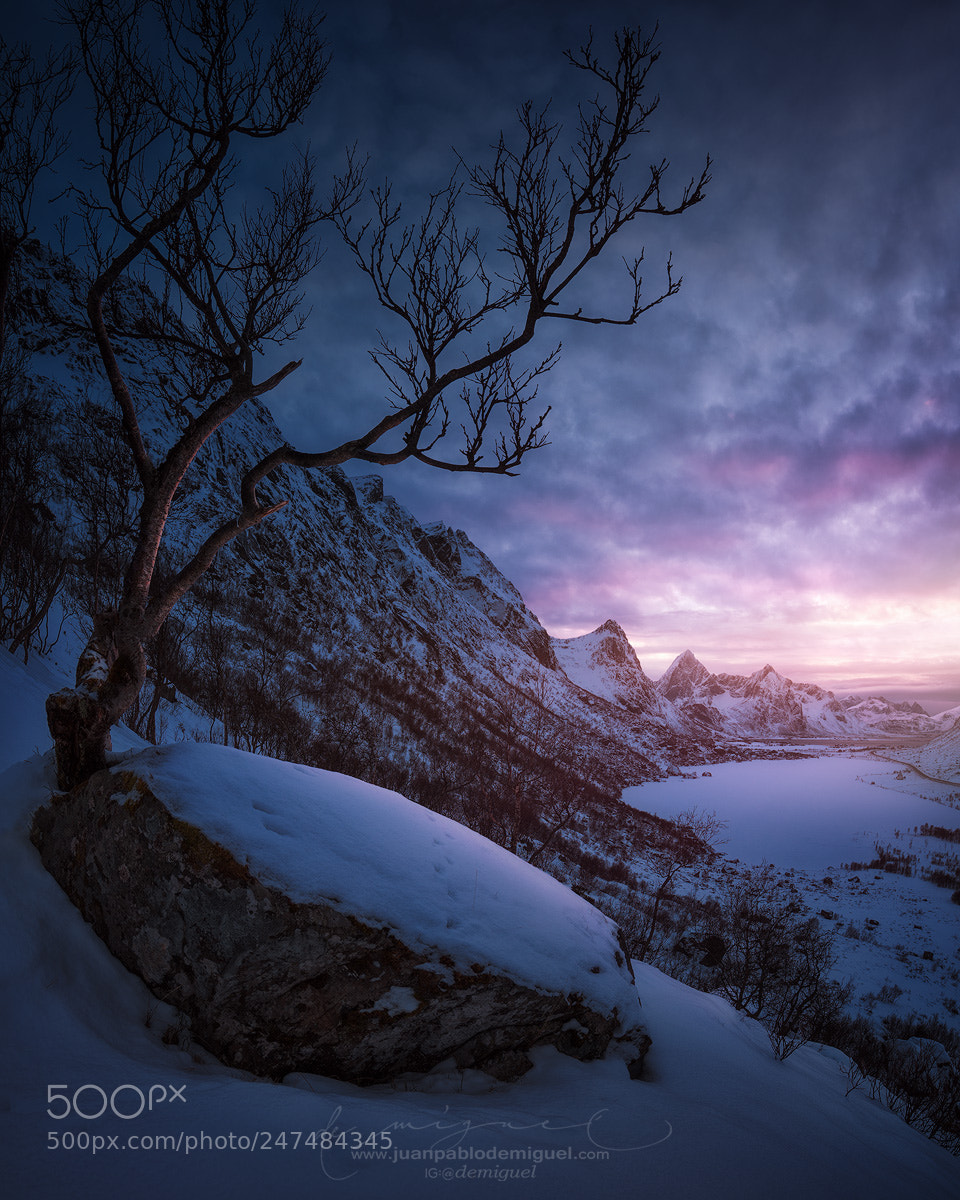 Sony a7R II sample photo. Lofoten infinite 1 (on black). photography