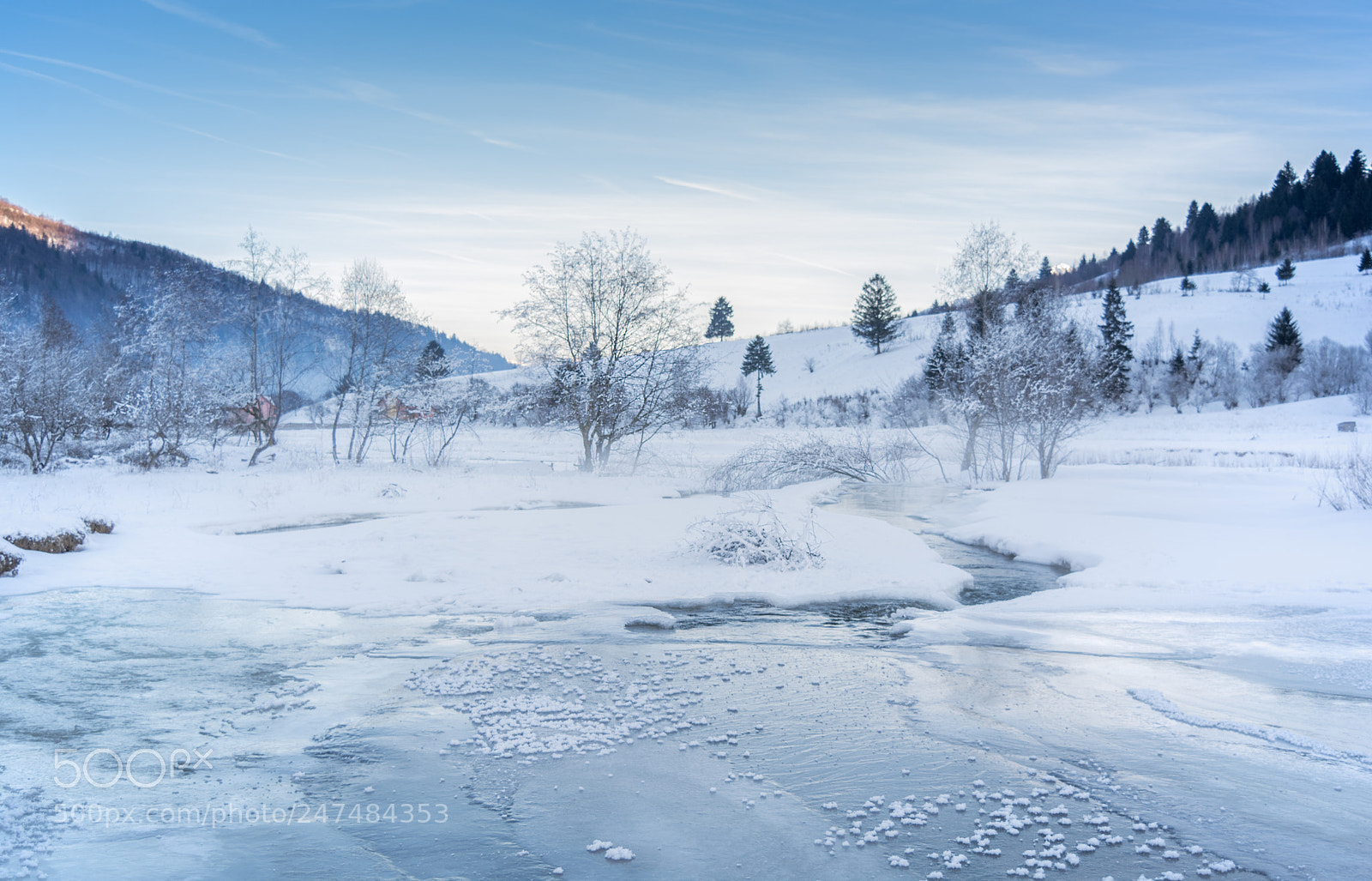 Nikon D5200 sample photo. Frost photography