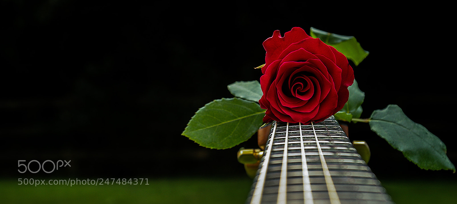 Canon EOS 20D sample photo. Neck beauty photography
