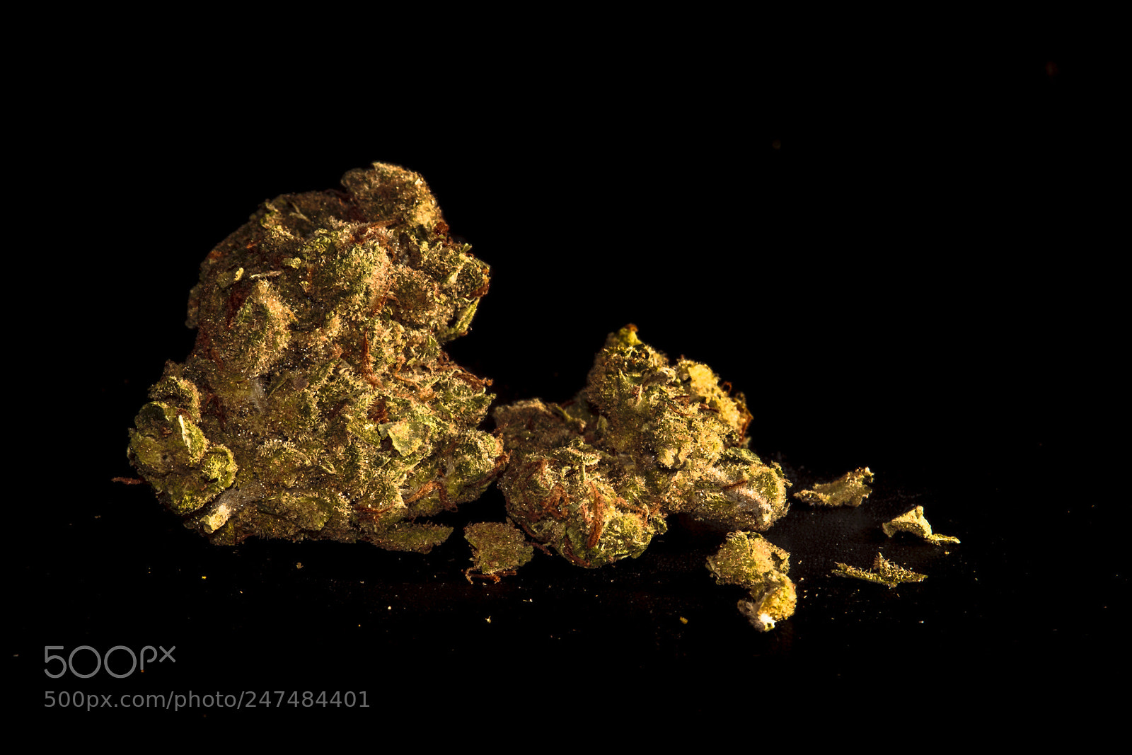 Canon EOS 550D (EOS Rebel T2i / EOS Kiss X4) sample photo. Weed photography