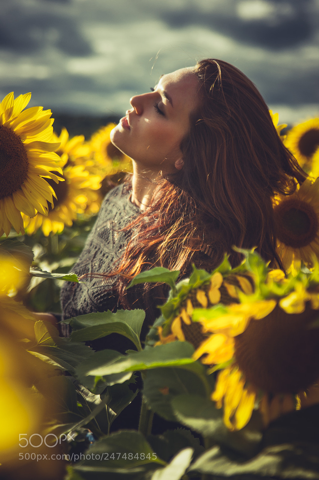 Nikon D5000 sample photo. Sunflowers ? photography