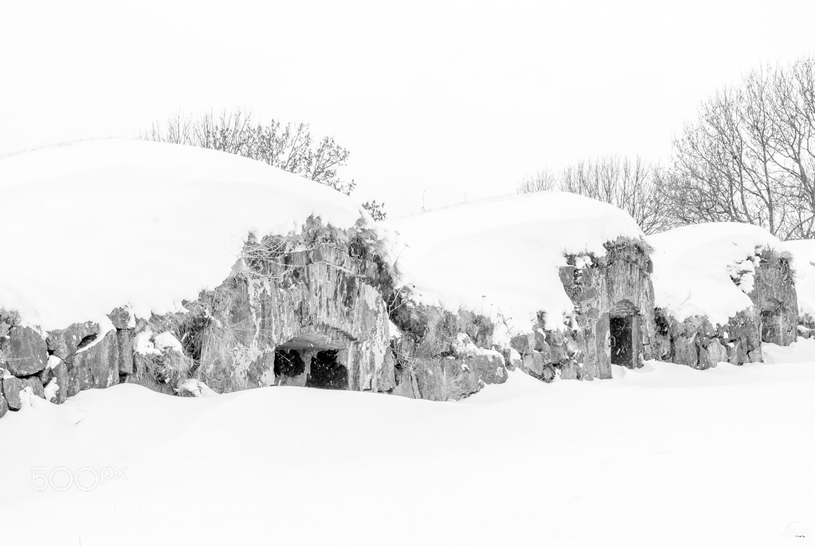 Nikon D7200 sample photo. Too much snow? photography
