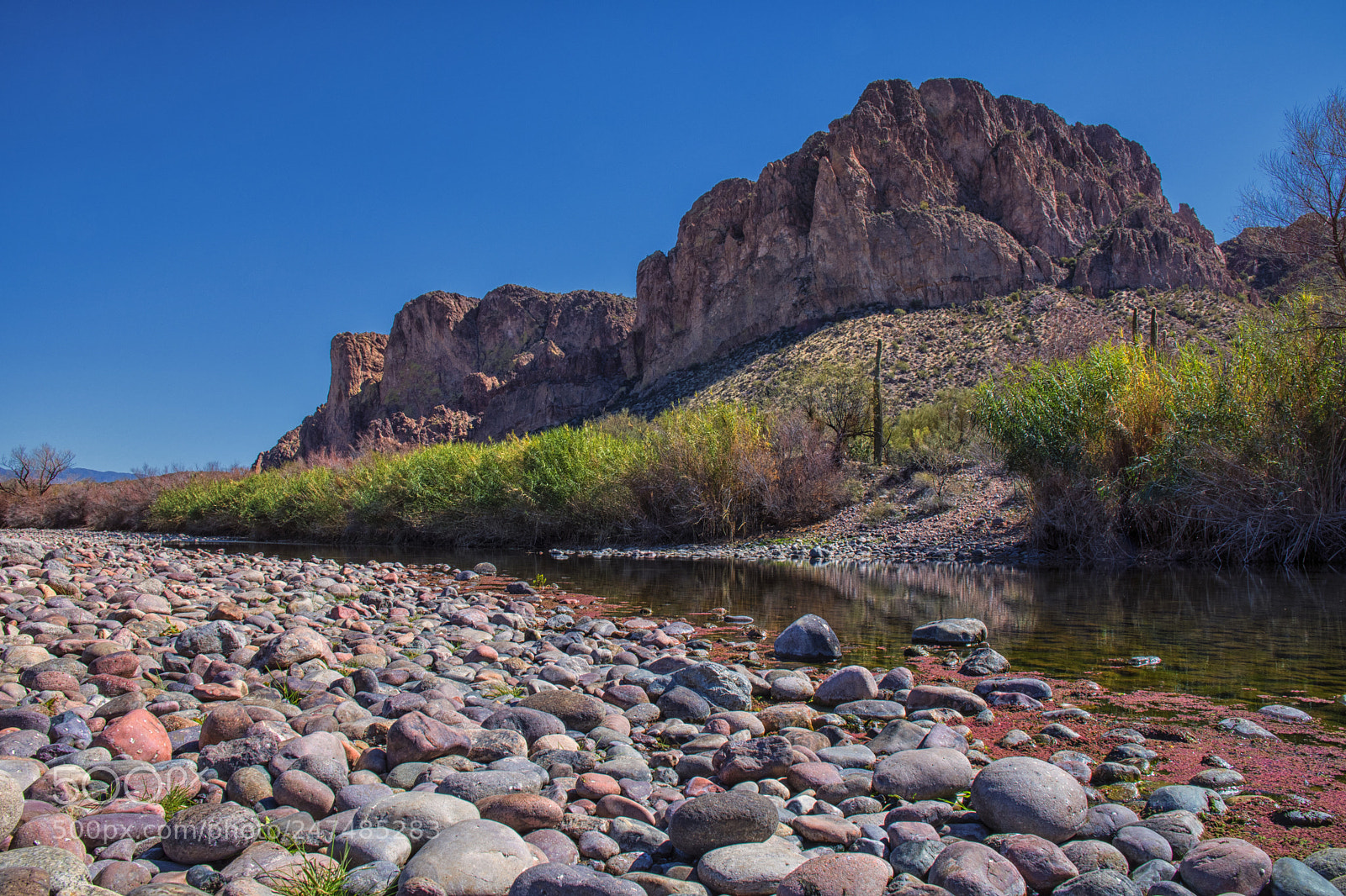 Nikon D500 sample photo. Daily hike.... photography