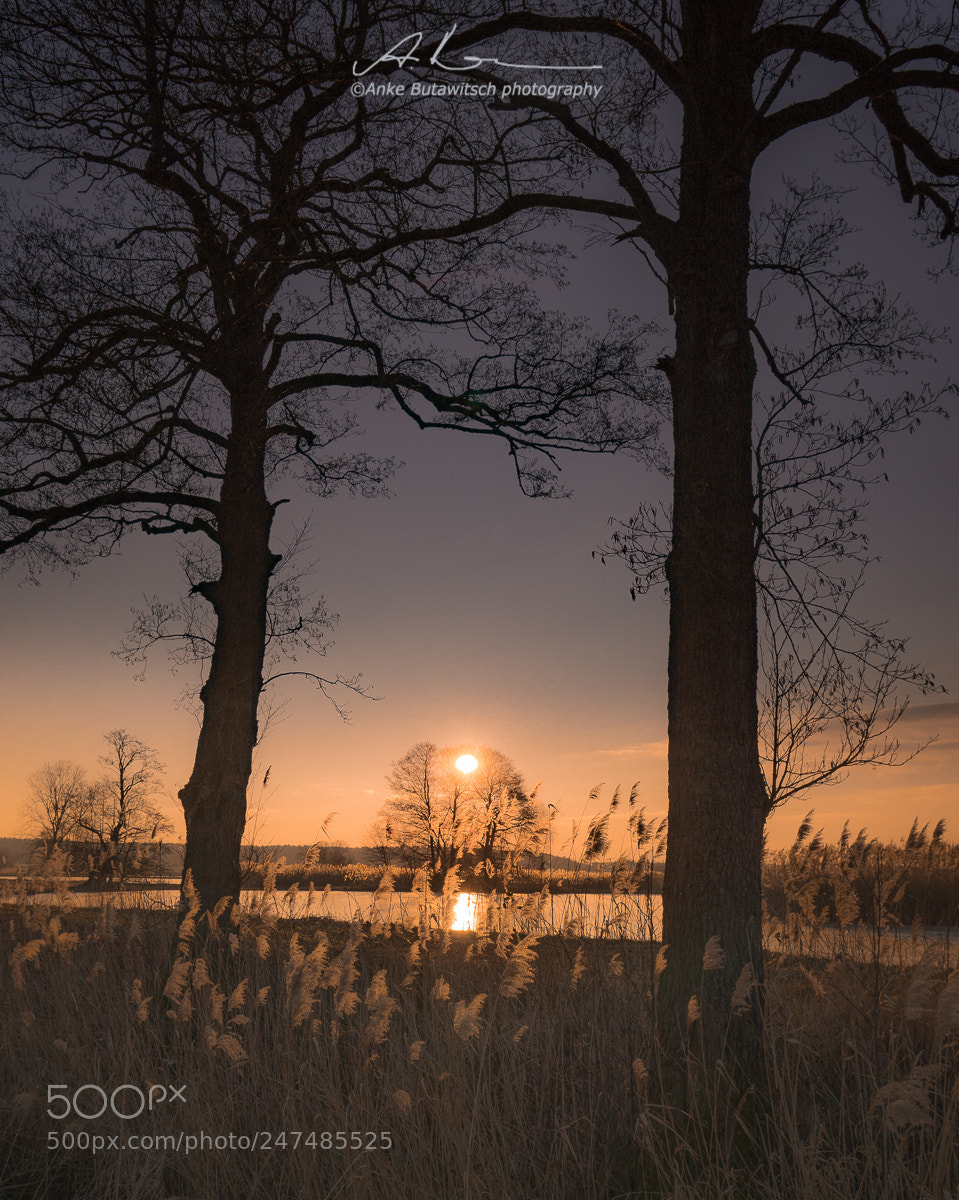Sony a7R II sample photo. Framed photography