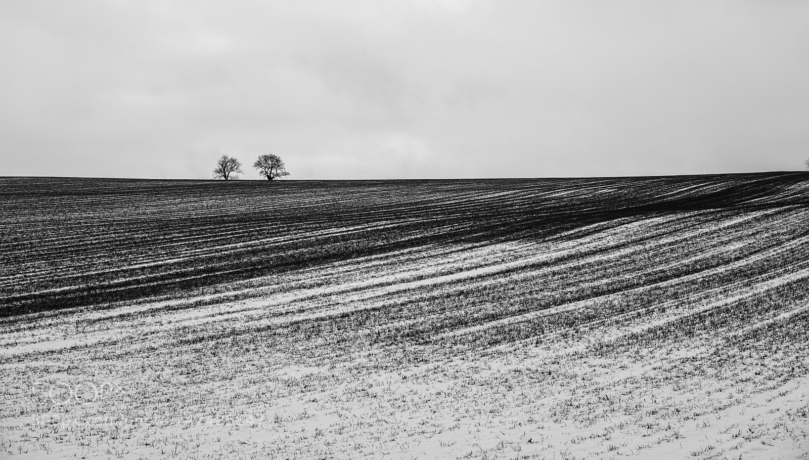 Sony a7 II sample photo. Stark photography