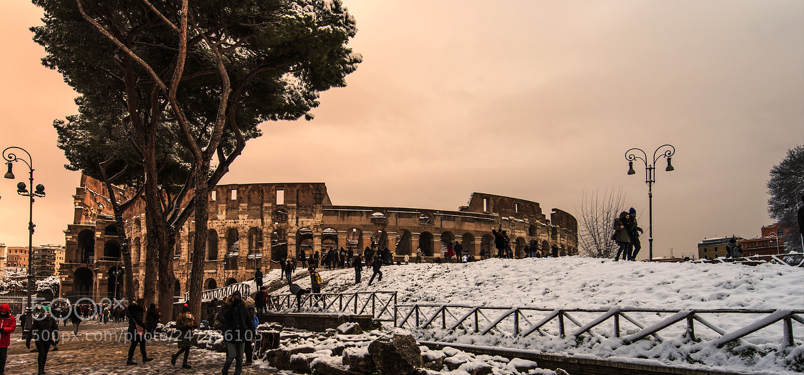 Nikon D500 sample photo. Colosseo photography
