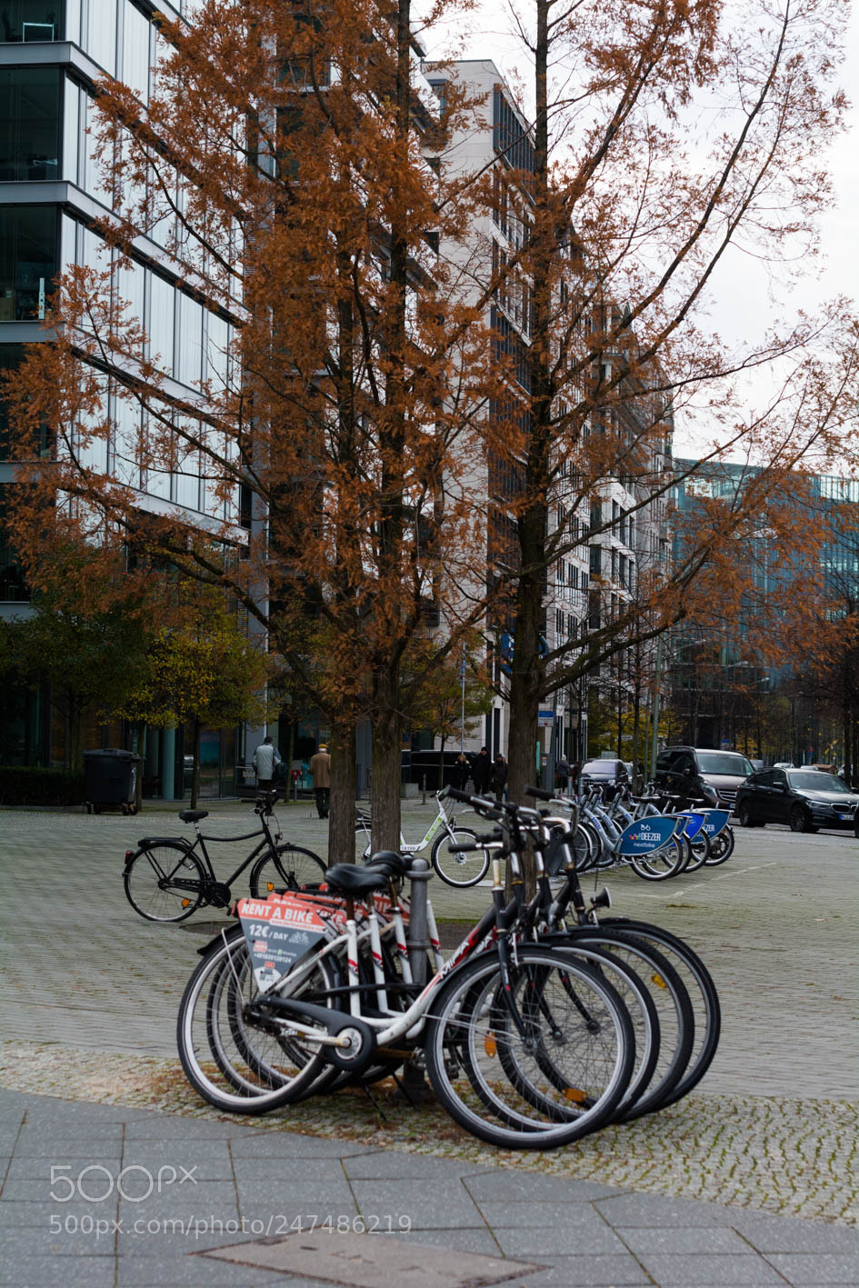 Nikon D7100 sample photo. Wandern rund um berlin..!! photography