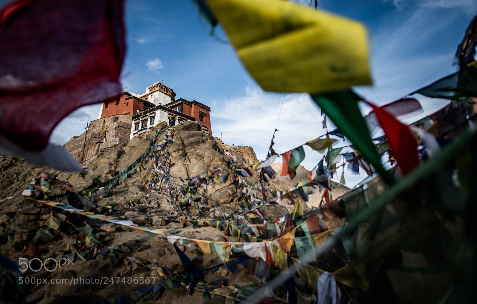 Nikon D800 sample photo. Namgyal tsemo monastery photography