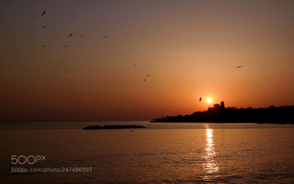 Samsung NX30 sample photo. ... photography