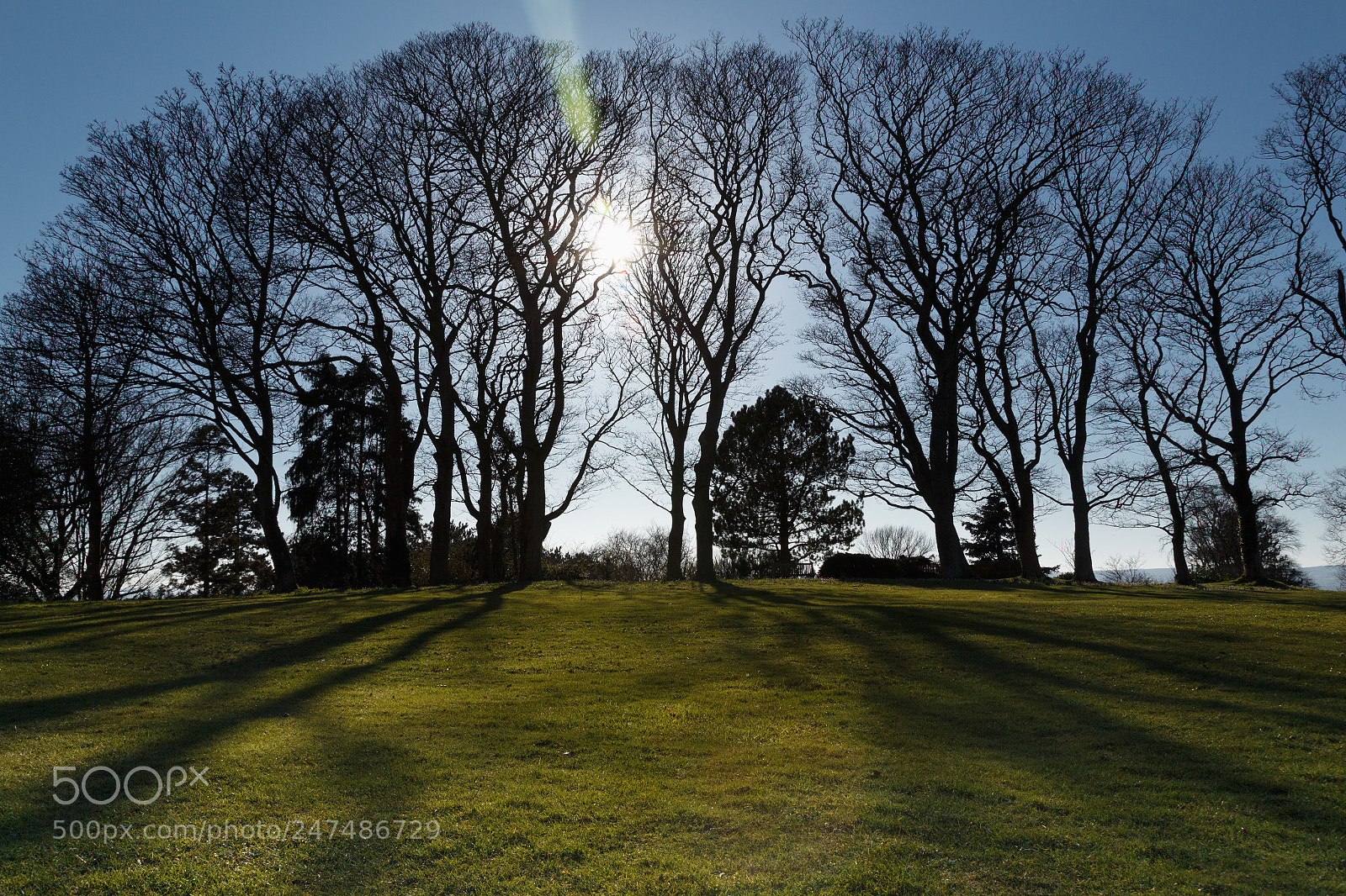 Canon EOS 650D (EOS Rebel T4i / EOS Kiss X6i) sample photo. Long shadows (57/365) photography