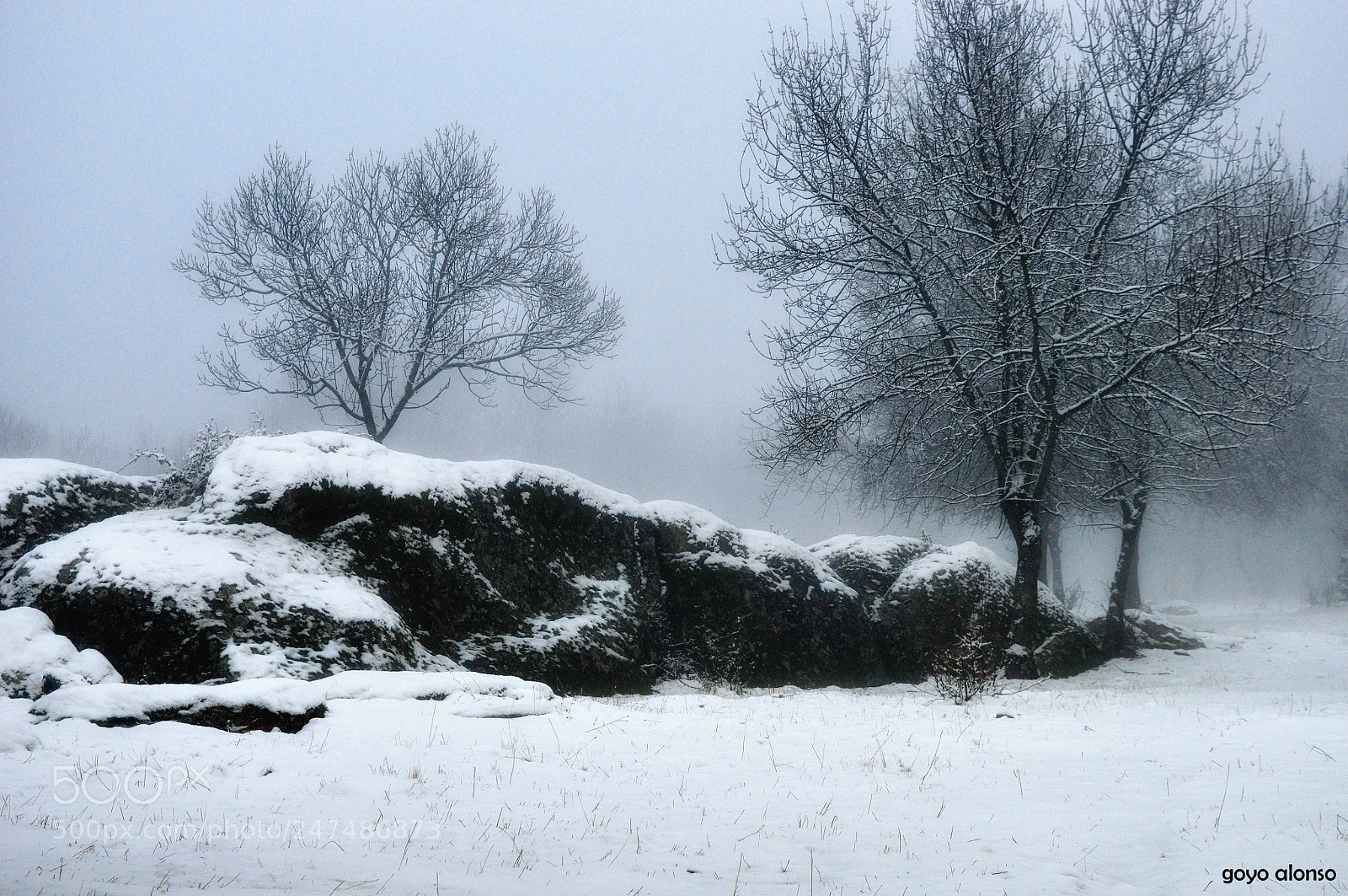 Nikon D5000 sample photo. Winter photography