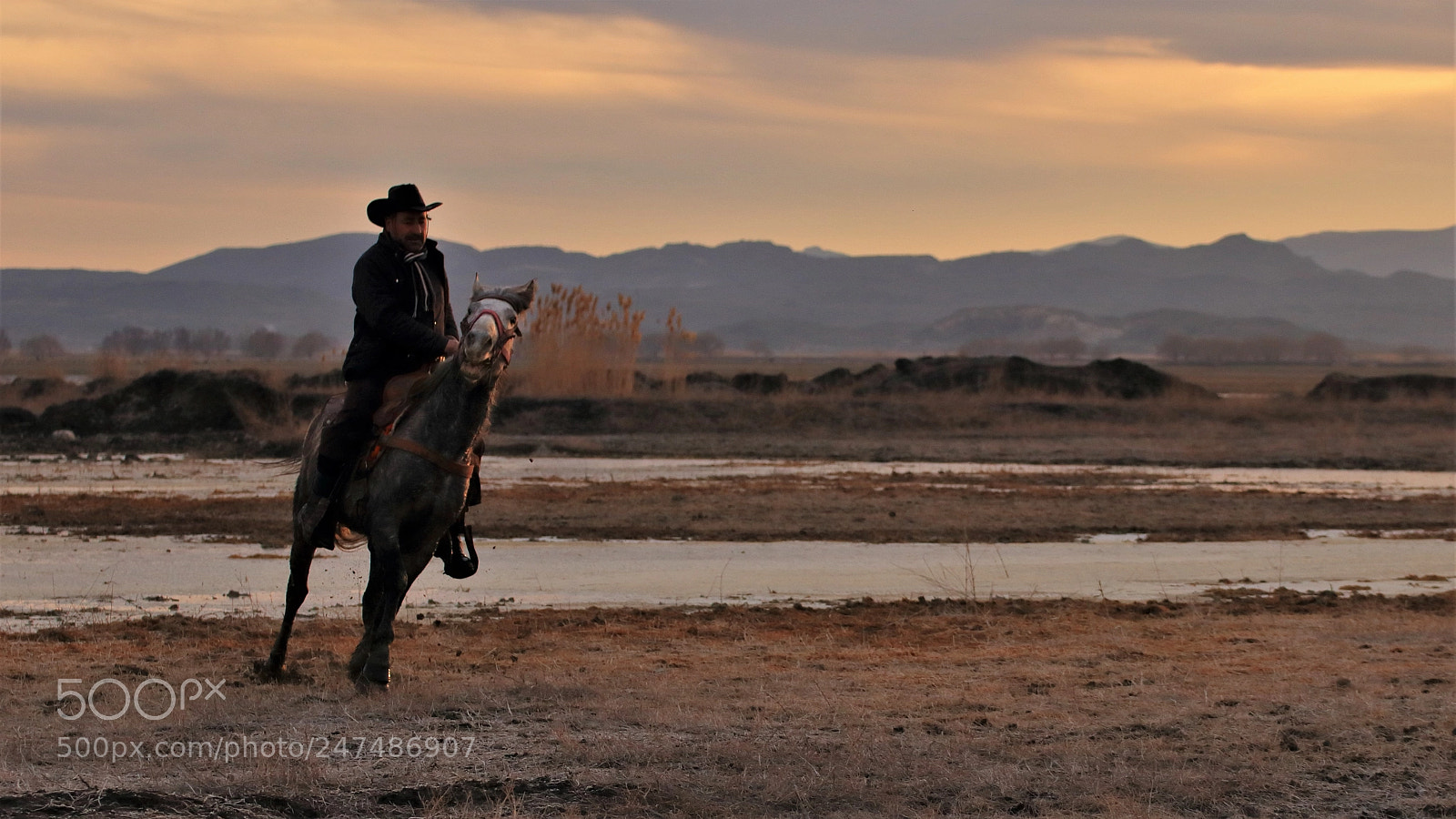 Canon EOS 80D sample photo. Riding horse at sunset photography