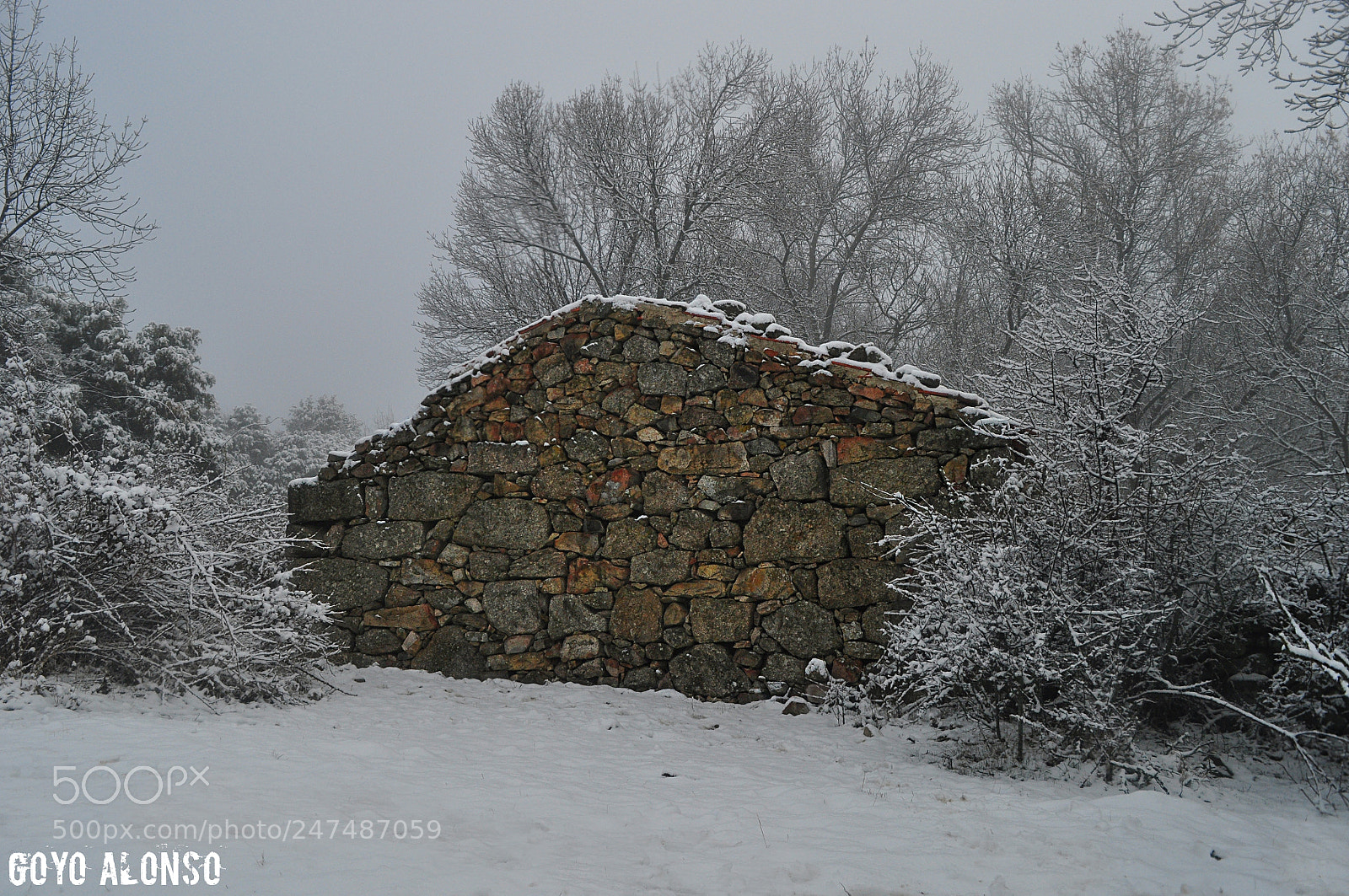 Nikon D5000 sample photo. Winter photography
