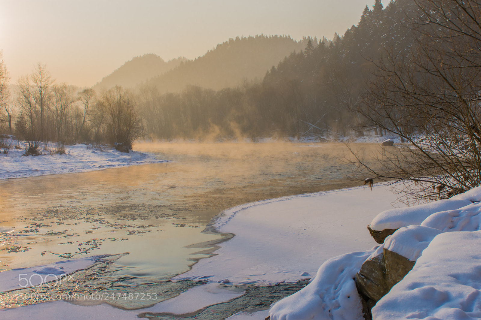Nikon D7200 sample photo. A frosty morning on photography