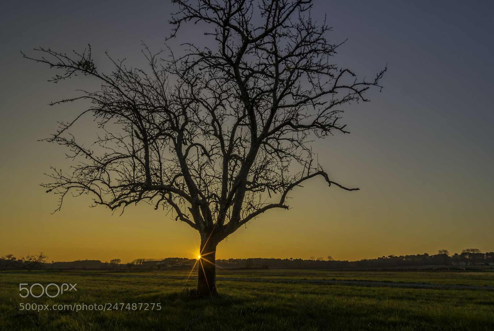 Pentax K-5 II sample photo. Coucher de soleil photography