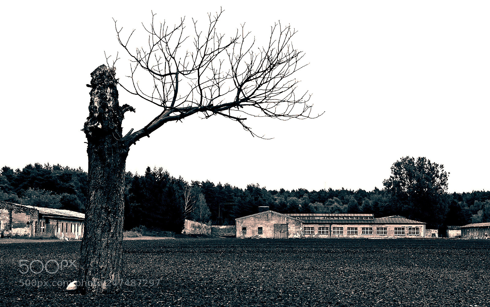Nikon D80 sample photo. Bw ravensbrueck photography