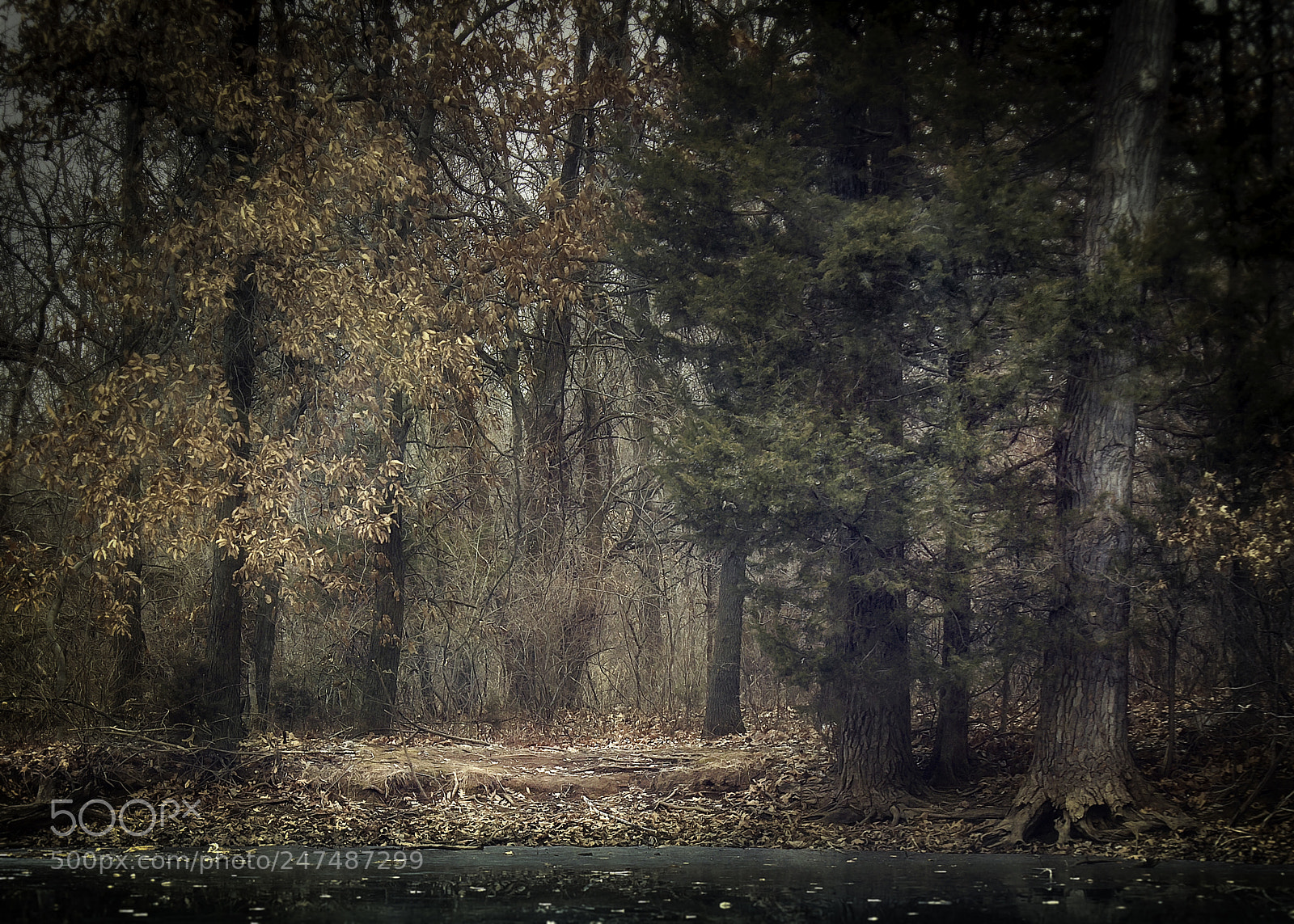 Canon EOS 650D (EOS Rebel T4i / EOS Kiss X6i) sample photo. Muddy shoreline photography