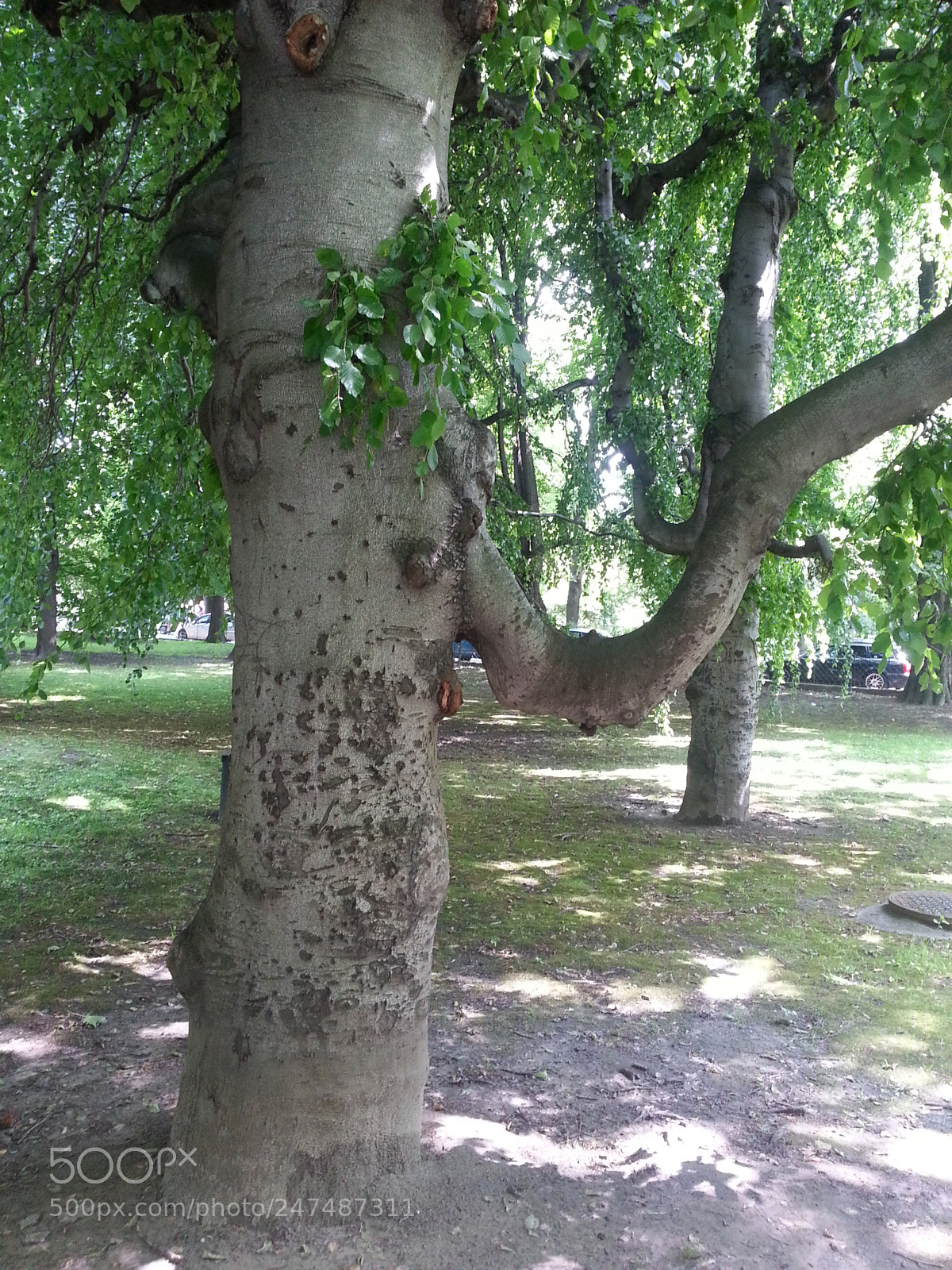 Samsung Galaxy S3 sample photo. Untitled photography