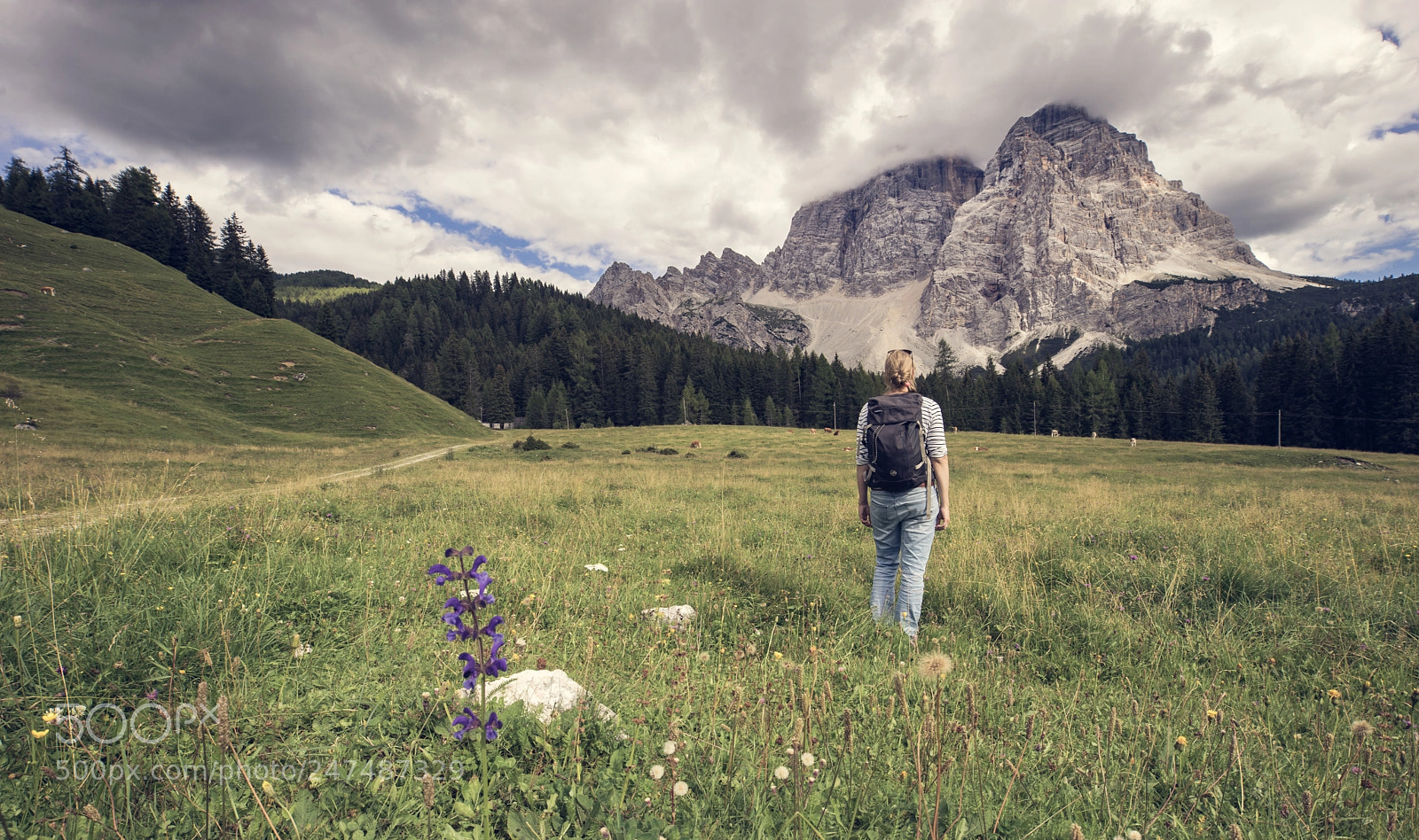 Sony a7 II sample photo. Monte pelmo photography