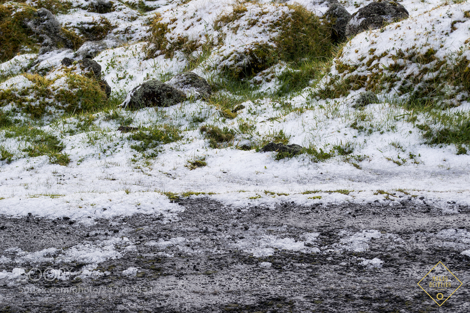 Nikon D3100 sample photo. Neve.. photography