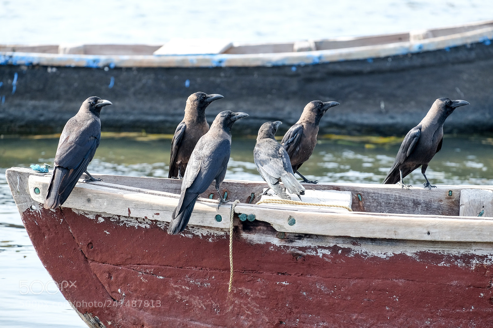 Fujifilm X-T10 sample photo. Travel to sri lanka photography