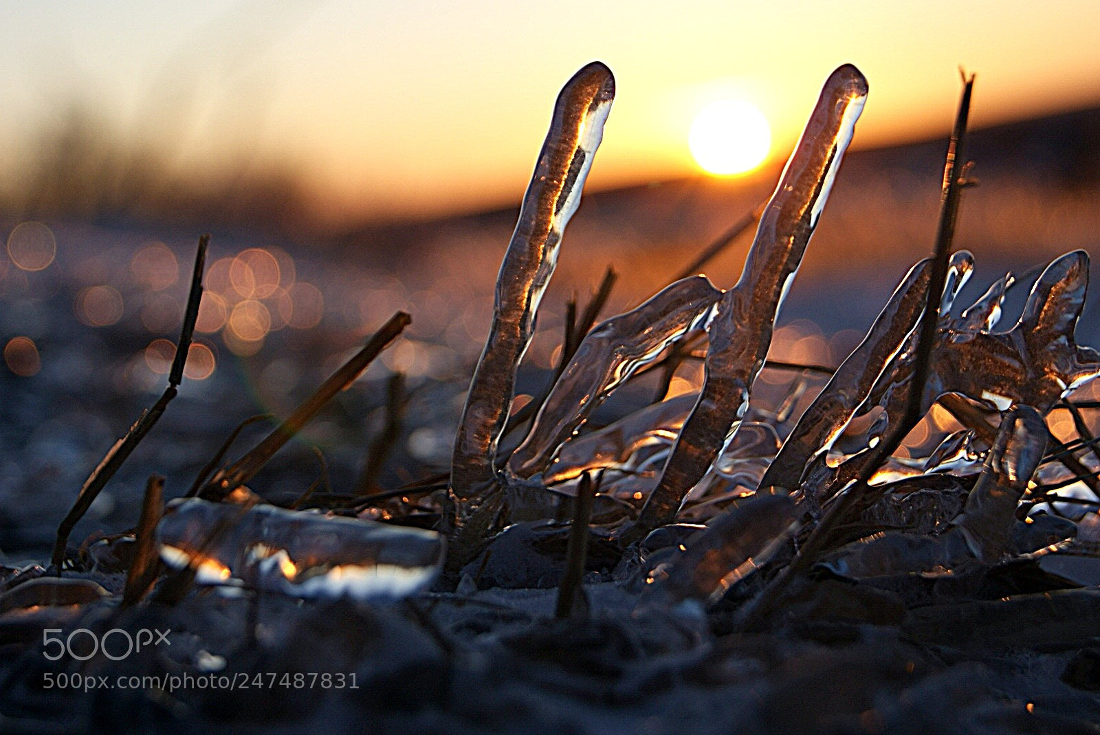 Sony Alpha DSLR-A330 sample photo. Fire and ice photography