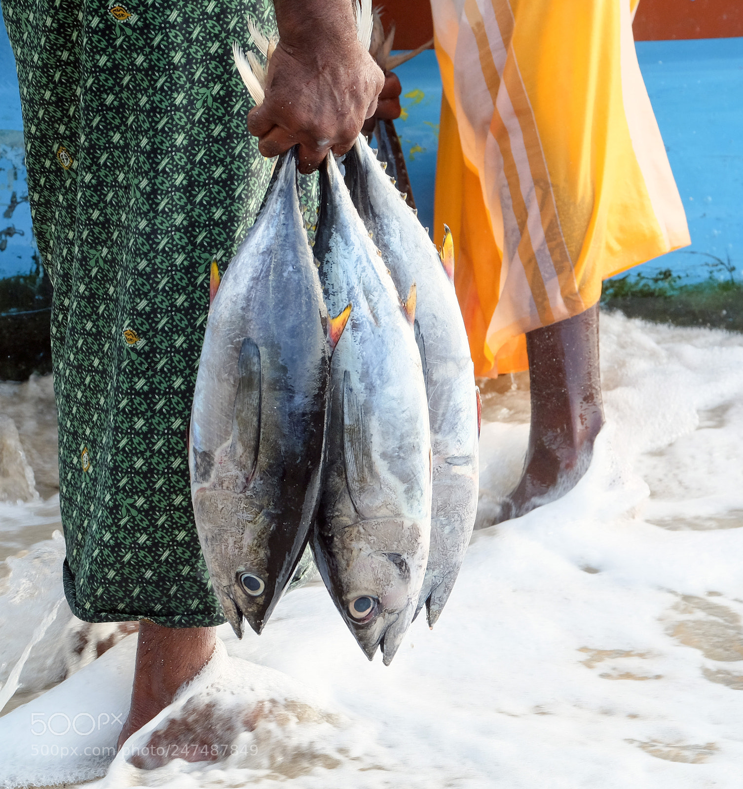 Fujifilm X-T10 sample photo. Travel to sri lanka photography