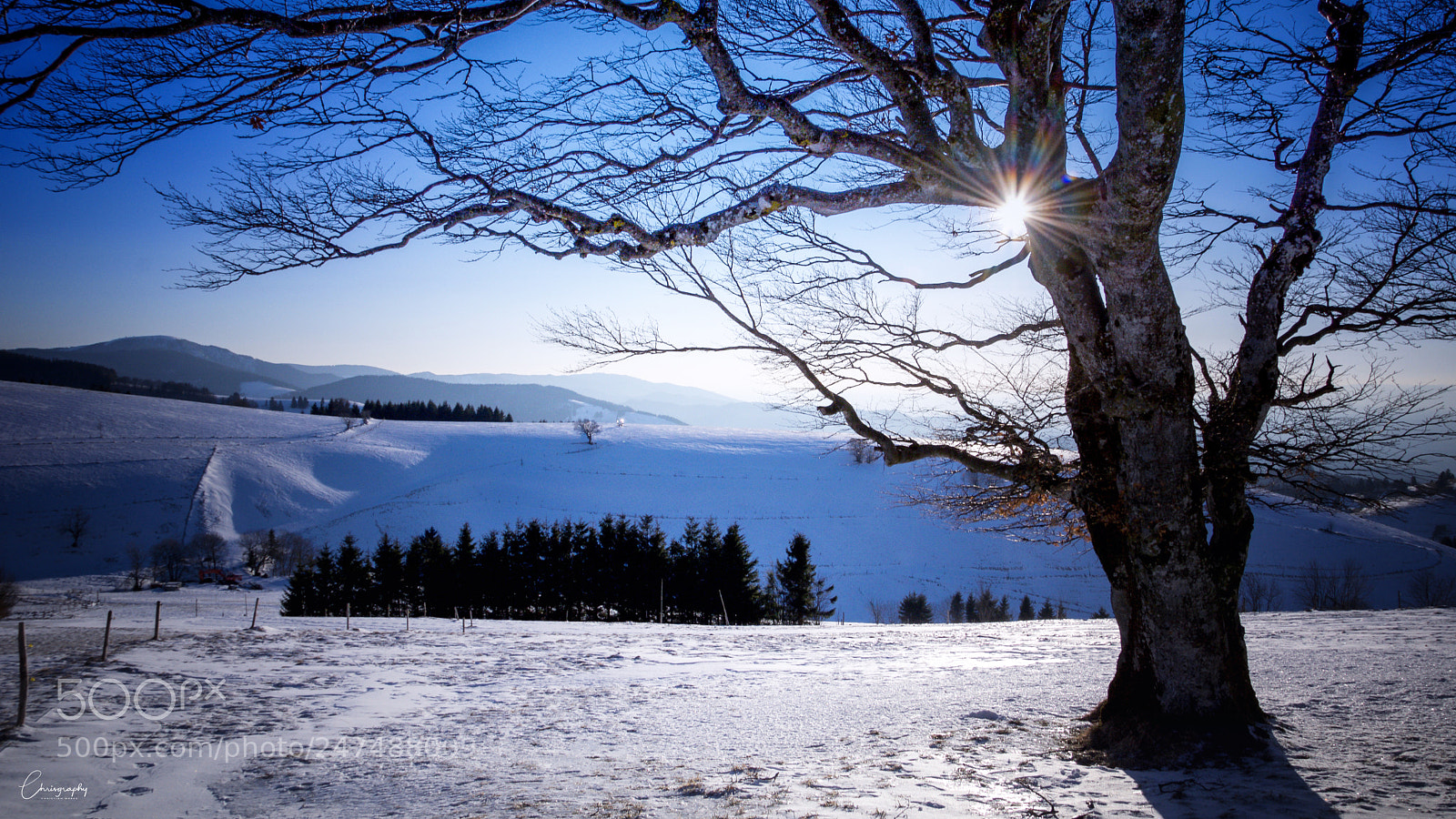 Nikon D7100 sample photo. Schauinsland photography
