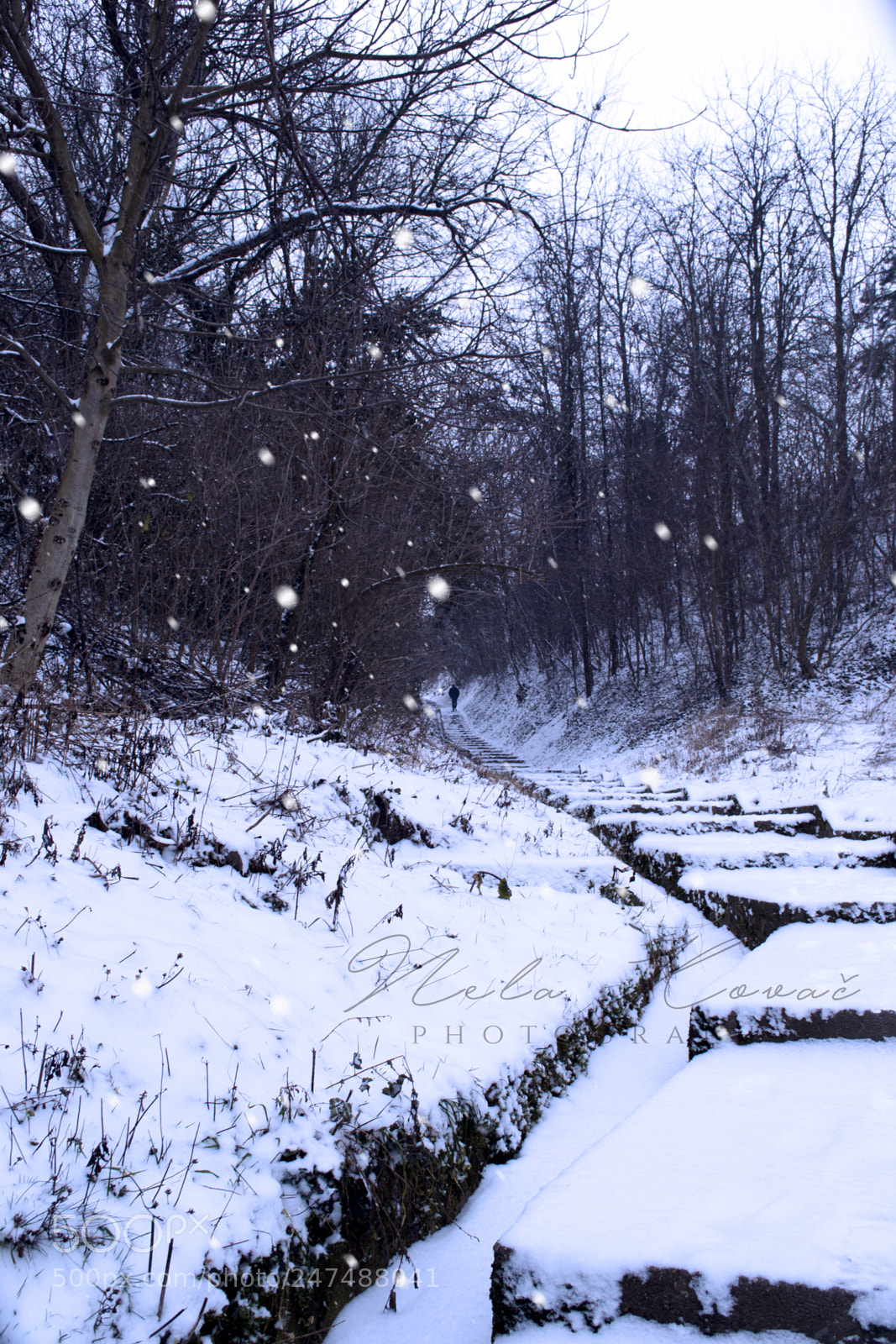 Nikon D3100 sample photo. Snow is falling photography