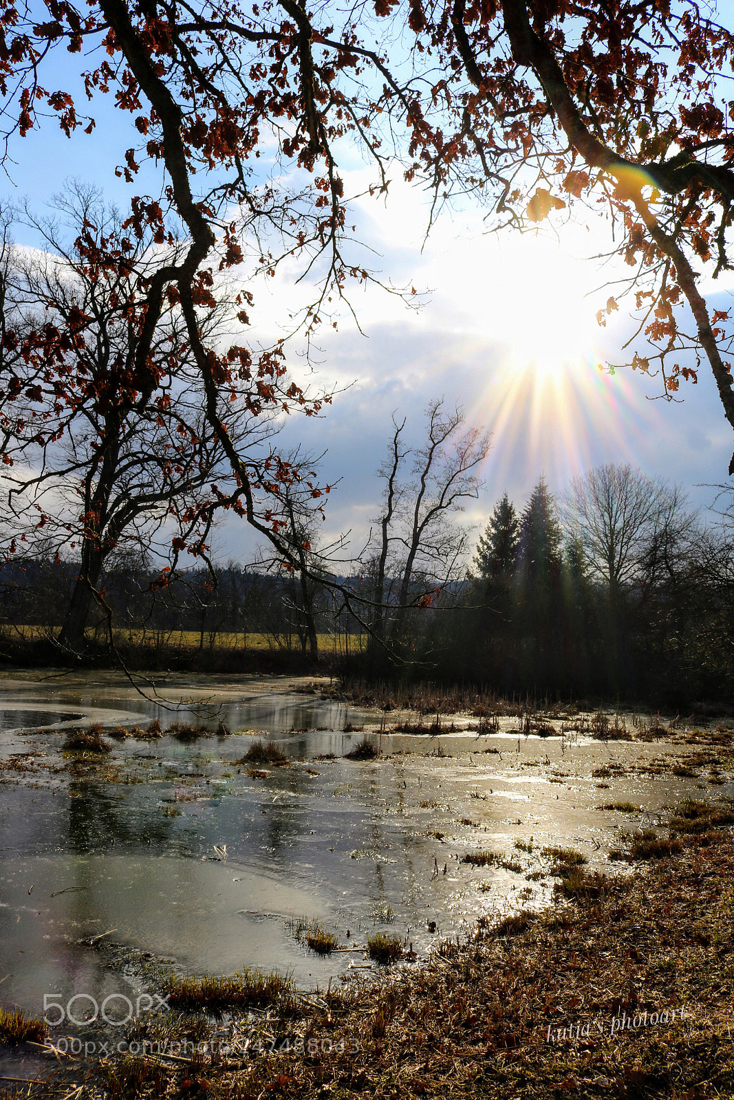 Canon EOS 750D (EOS Rebel T6i / EOS Kiss X8i) sample photo. Katzensee photography