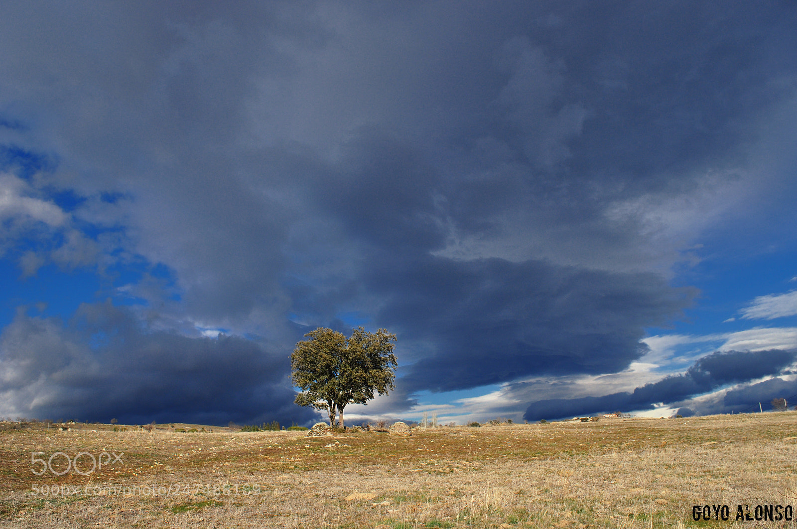 Nikon D5000 sample photo. Solitario photography