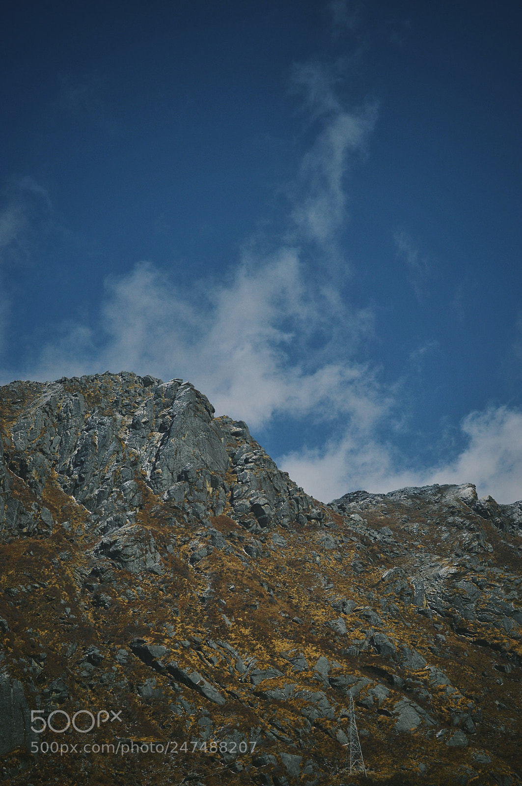 Nikon D3200 sample photo. Standing tall photography