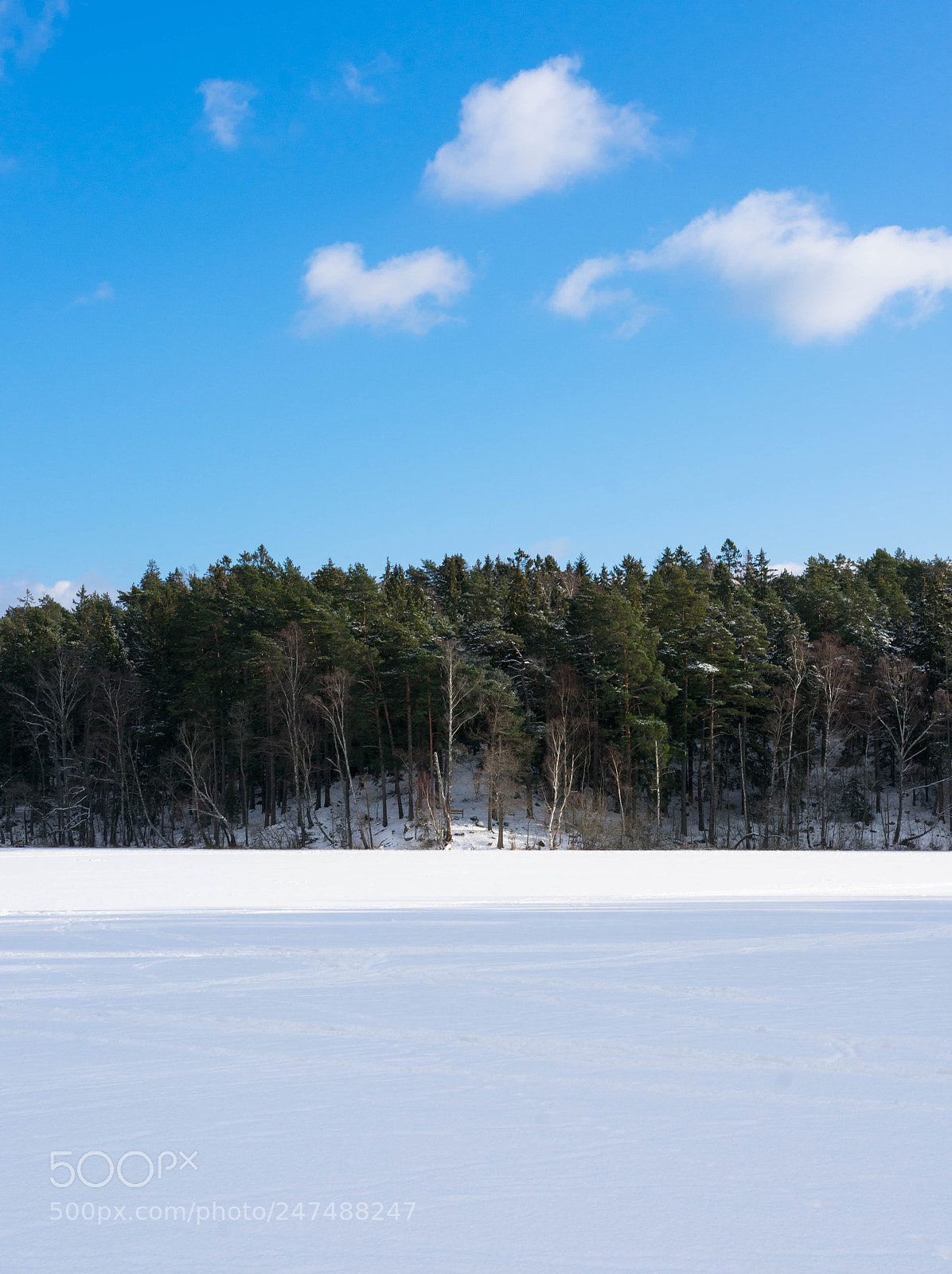 Nikon D3400 sample photo. On a frozen lake photography