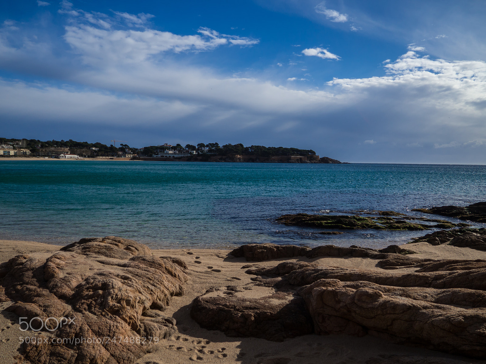 Olympus OM-D E-M10 II sample photo. Sunny day photography