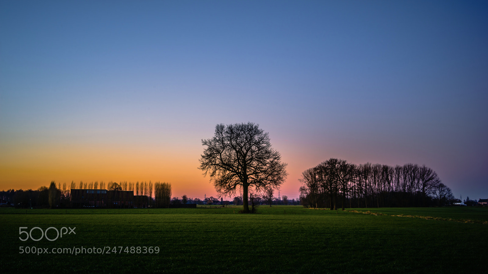 Sony a7R sample photo. Morning glorie photography