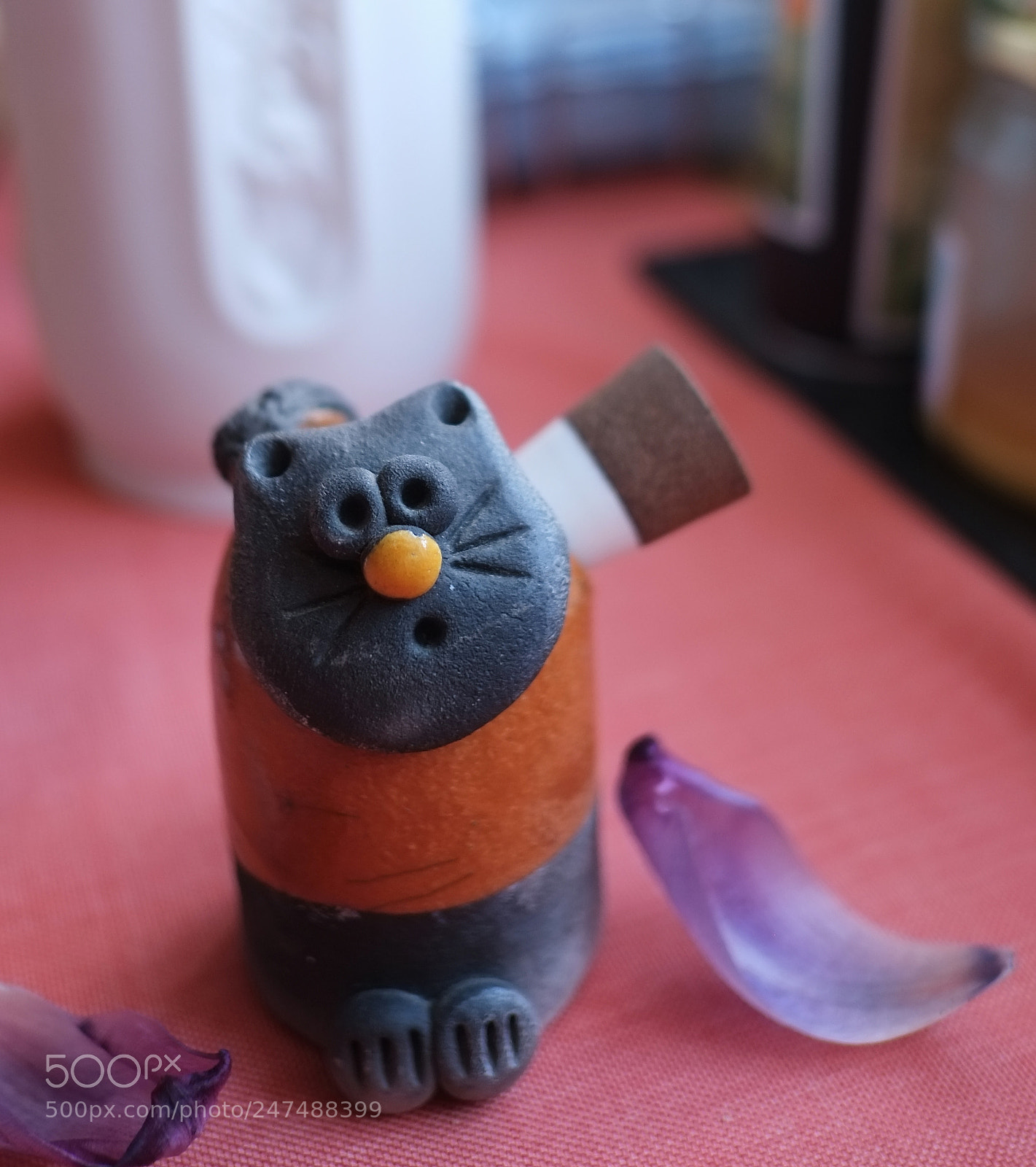 Fujifilm X-Pro1 sample photo. Cat photography