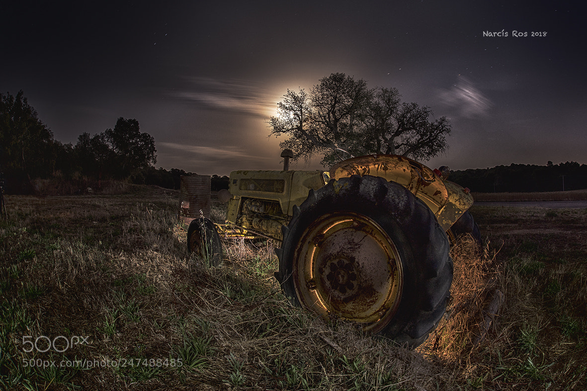 Nikon D610 sample photo. A rural night photography
