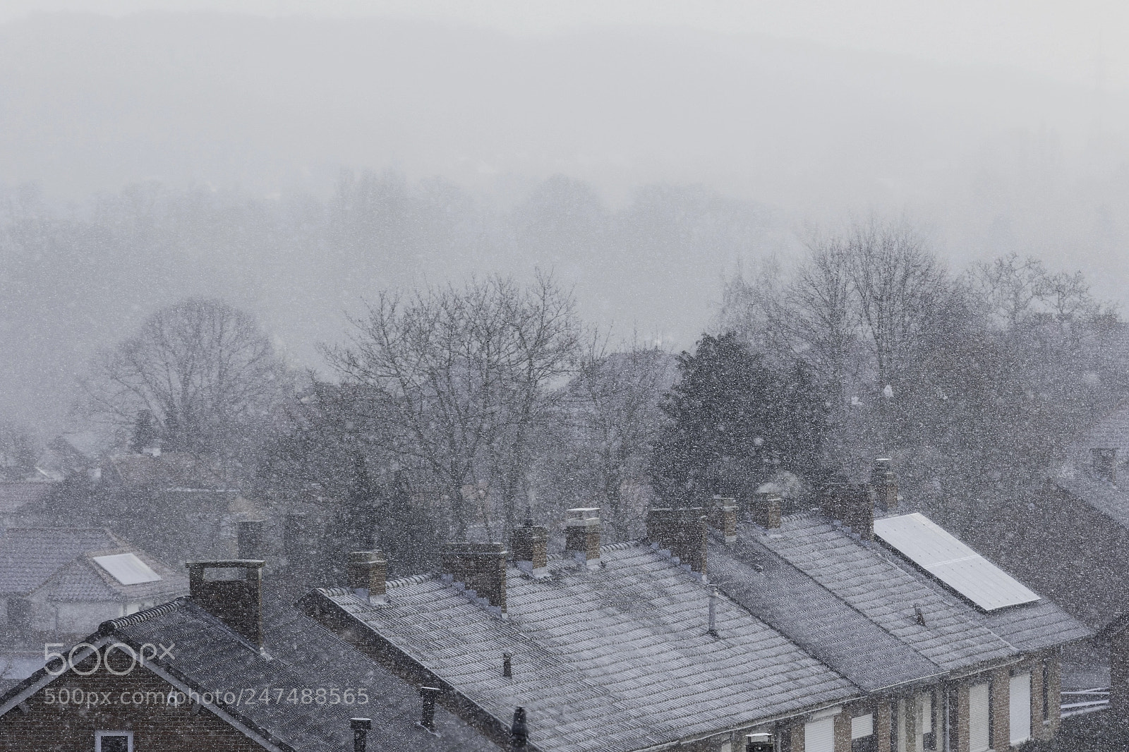 Canon EOS 7D Mark II sample photo. Morning surprise photography