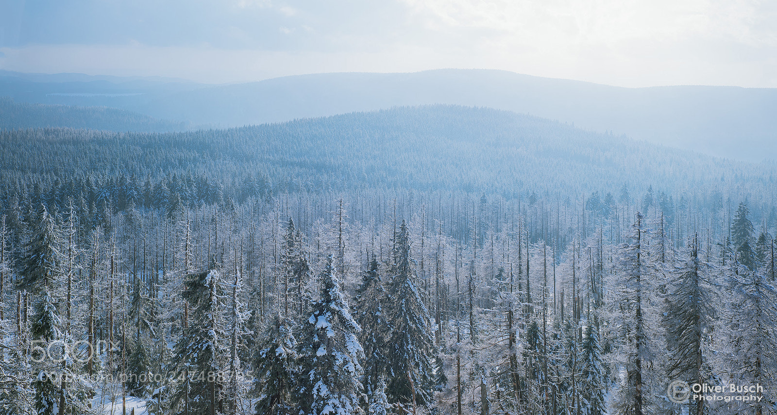Sony a7R II sample photo. Winter is coming photography