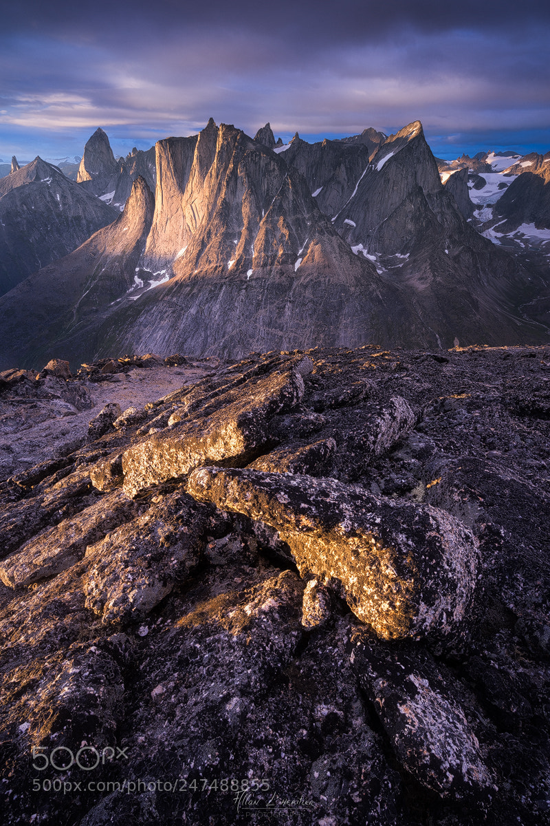 Sony a7R sample photo. Vertical world photography