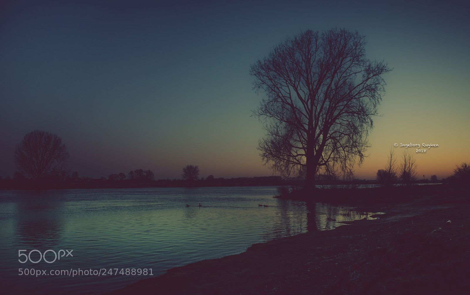 Nikon D800 sample photo. Empel - maas 3199 photography