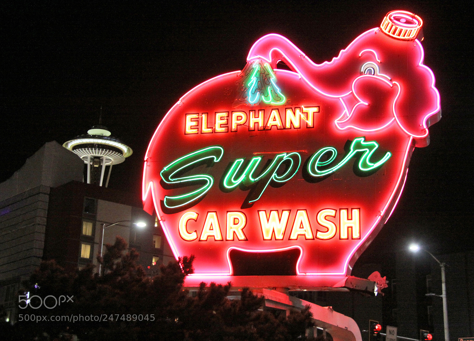 Canon EOS 50D sample photo. Elephant super car wash photography